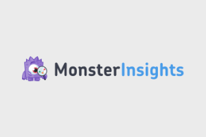 MonsterInsights analytics plugin tb