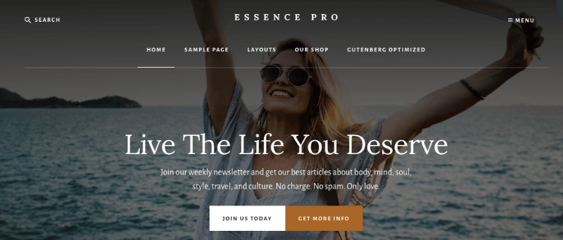 Essence Pro non-profit WordPress theme