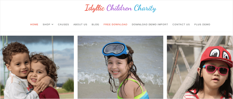 Idyllic nonprofit WordPress theme