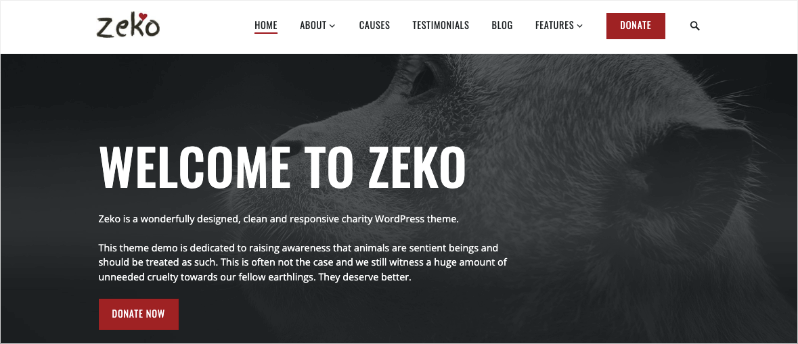 Zeko WordPress theme