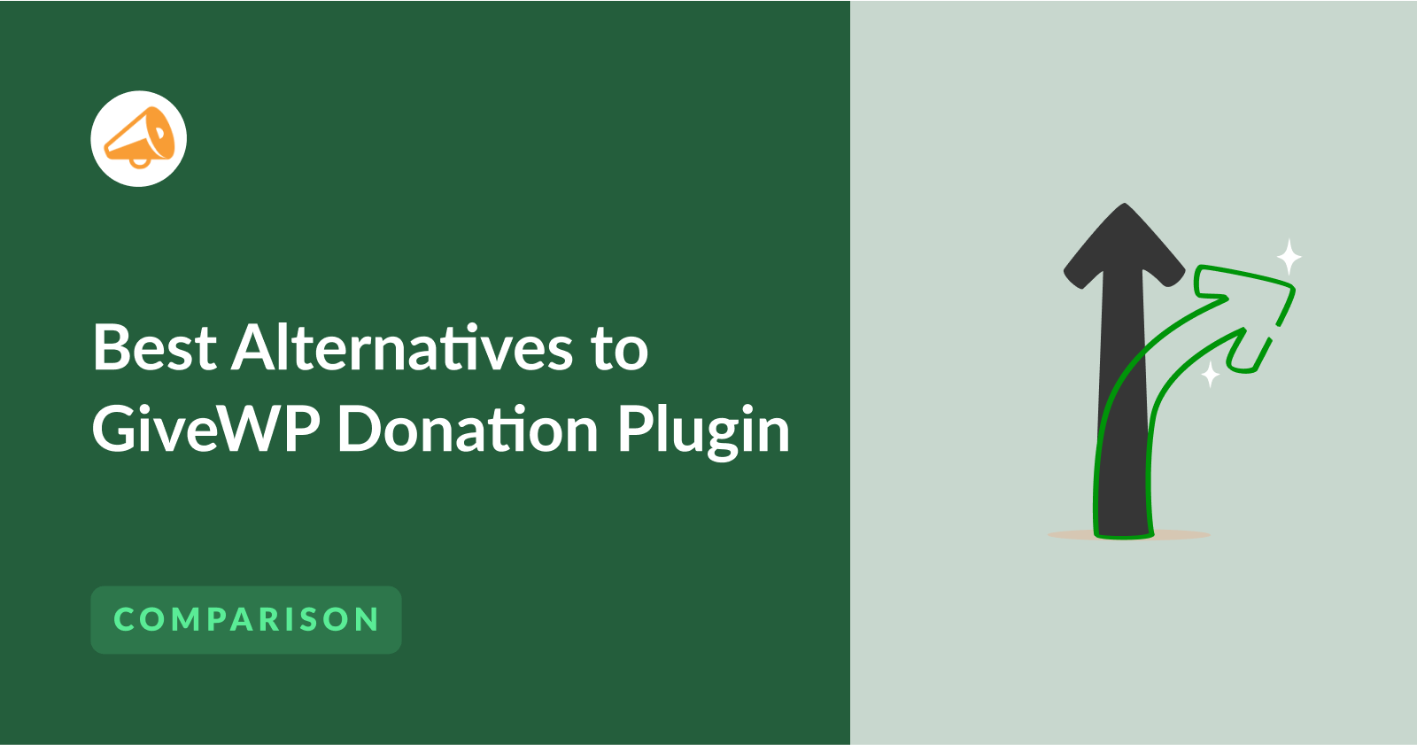 Best GiveWP Alternatives to Raise More Funds Faster