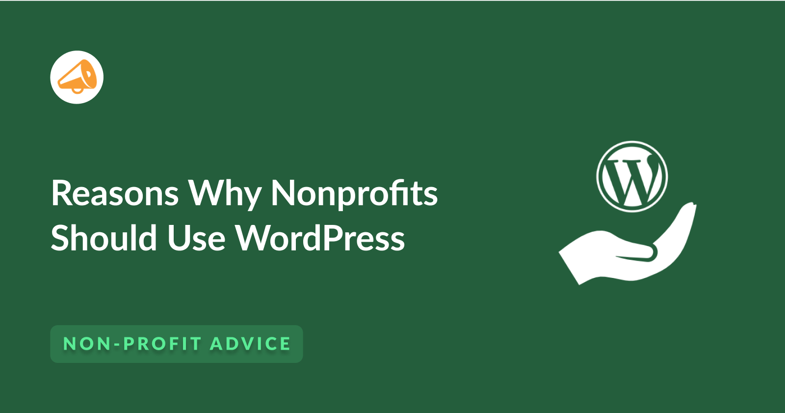 Reasons Why Nonprofits Should Use WordPress